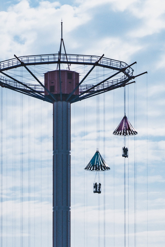 f:id:dendenmushes:20210109165042j:plain