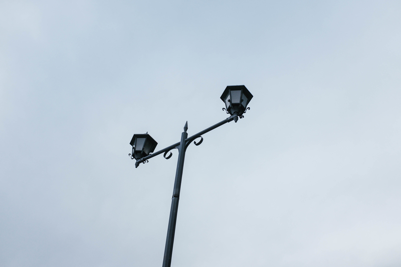 f:id:dendenmushes:20210109185520j:plain