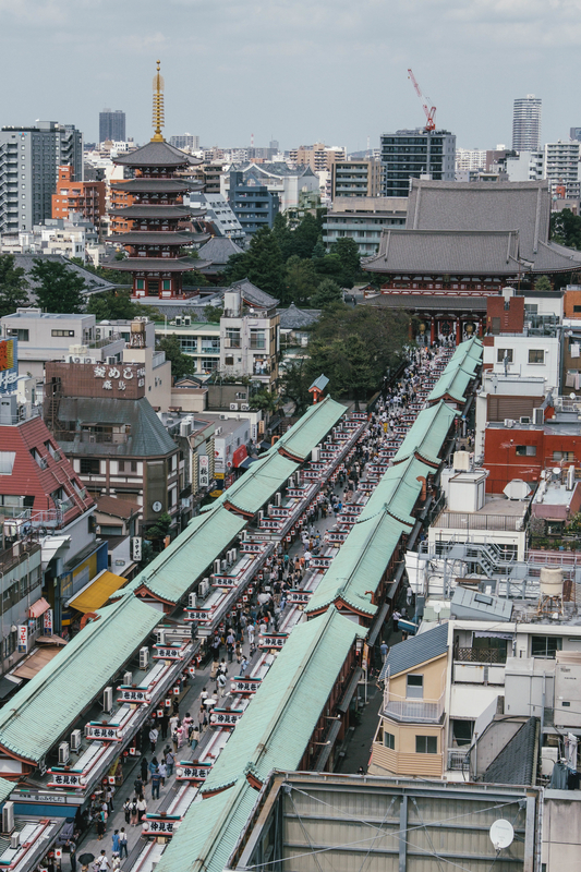 f:id:dendenmushes:20210109190525j:plain