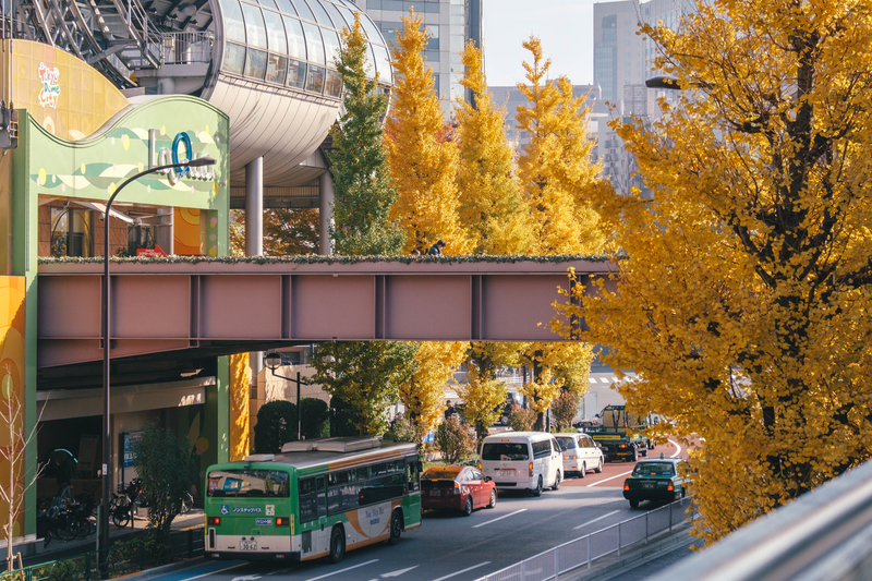 f:id:dendenmushes:20210109191605j:plain