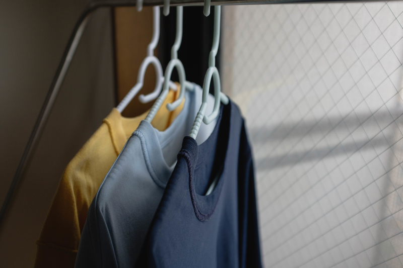 f:id:dendenmushes:20210109195558j:plain