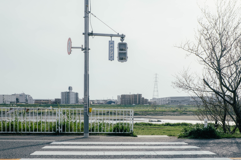 f:id:dendenmushes:20210109200038j:plain