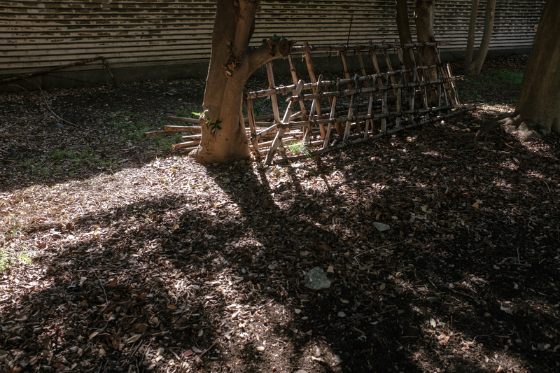 f:id:dendenmushes:20210316194024j:plain