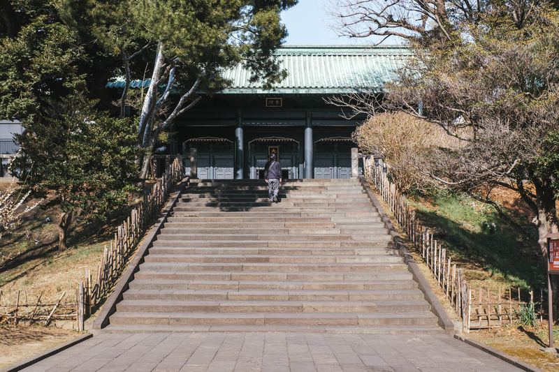 f:id:dendenmushes:20210316194158j:plain