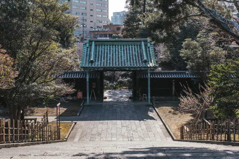 f:id:dendenmushes:20210316194248j:plain