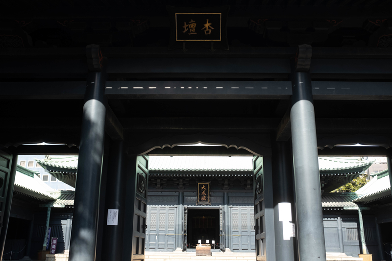 f:id:dendenmushes:20210316194319j:plain