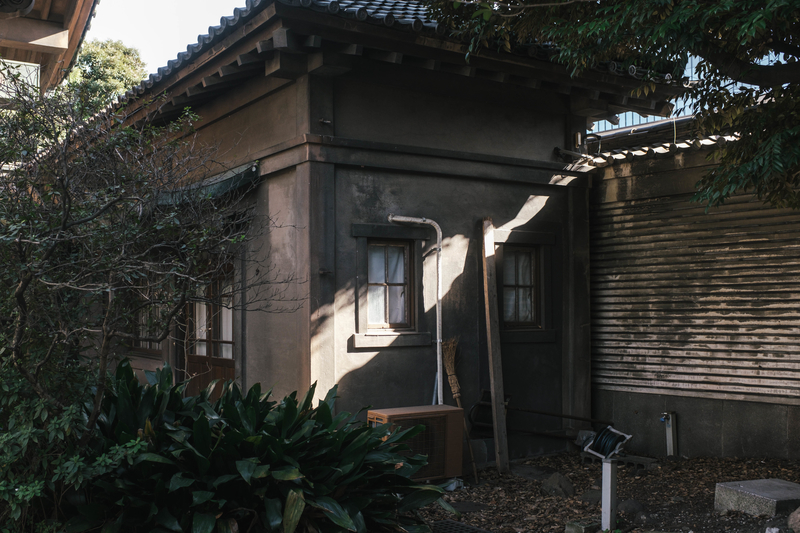 f:id:dendenmushes:20210316194455j:plain