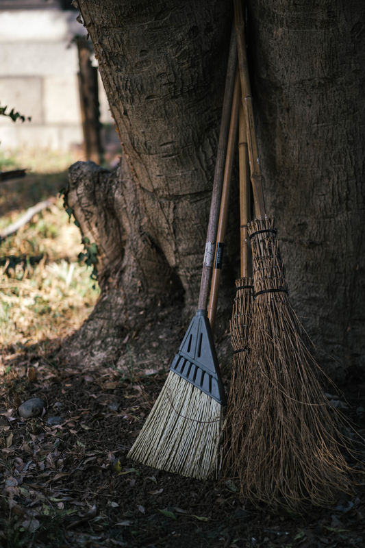 f:id:dendenmushes:20210316194645j:plain