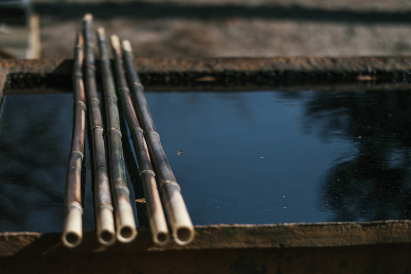 f:id:dendenmushes:20210316194718j:plain