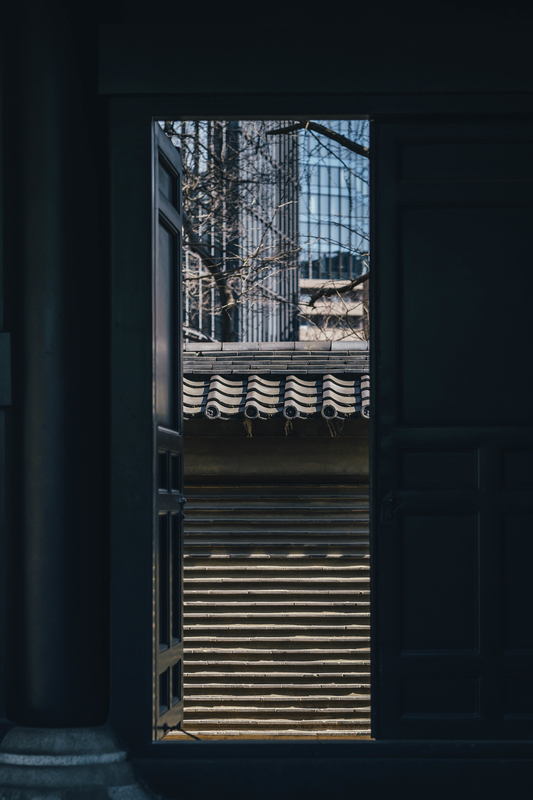 f:id:dendenmushes:20210316194822j:plain