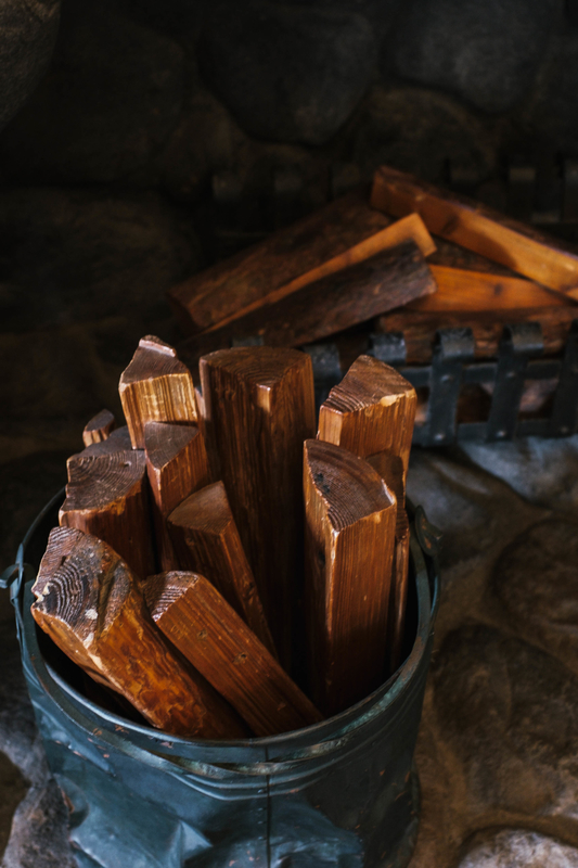 f:id:dendenmushes:20210412170035j:plain