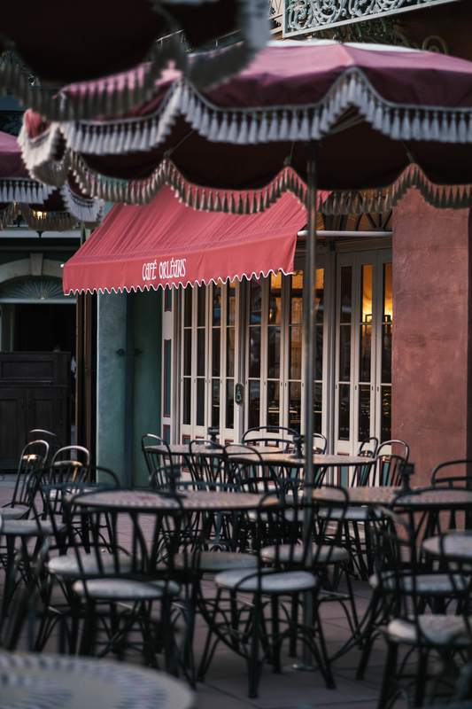 f:id:dendenmushes:20210412170158j:plain