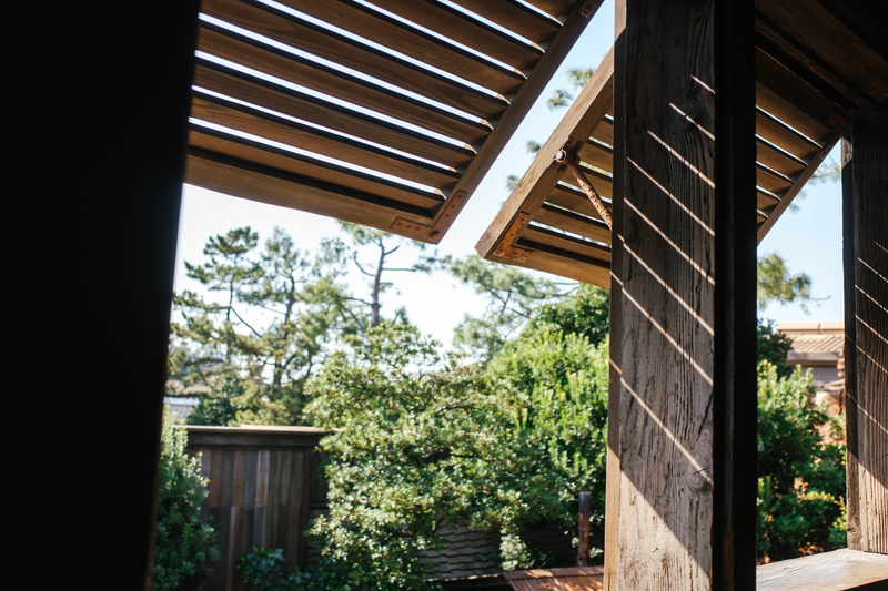 f:id:dendenmushes:20210412170438j:plain