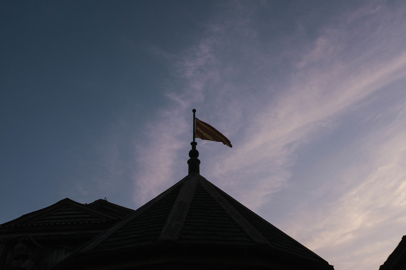 f:id:dendenmushes:20210412170936j:plain