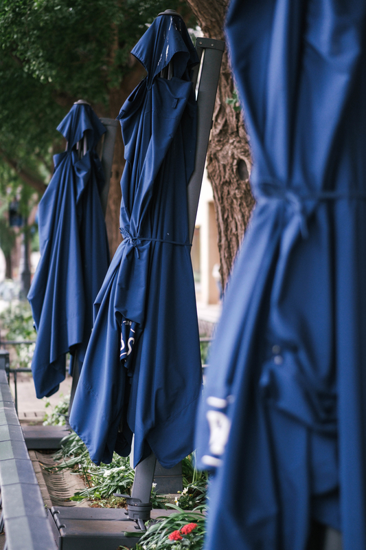 f:id:dendenmushes:20210523153839j:plain