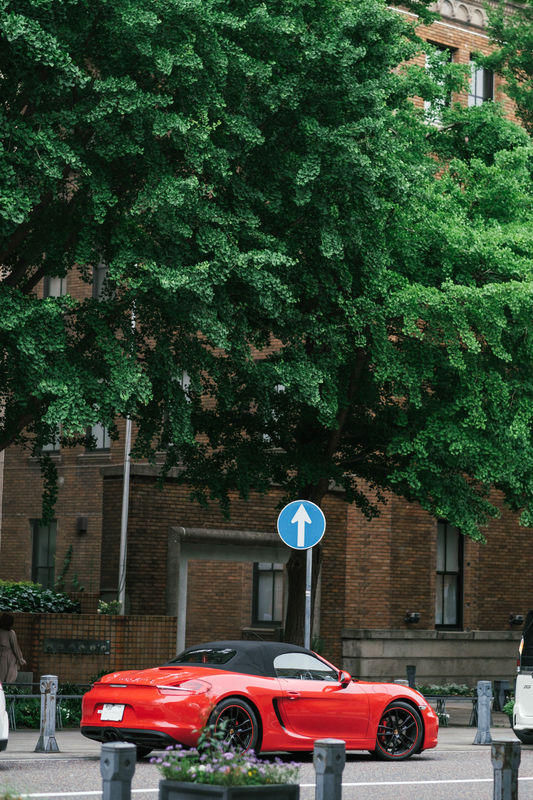 f:id:dendenmushes:20210523154051j:plain