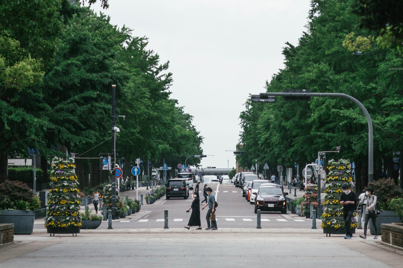 f:id:dendenmushes:20210523154137j:plain