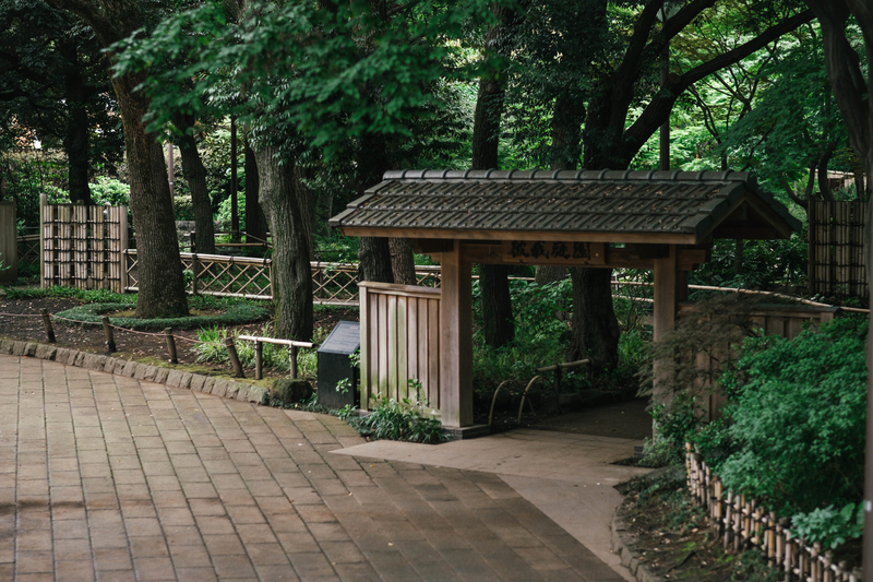 f:id:dendenmushes:20210523154149j:plain