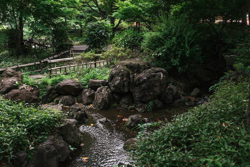 f:id:dendenmushes:20210523154438j:plain