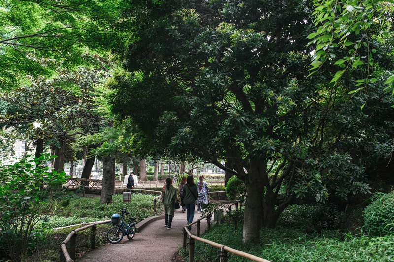 f:id:dendenmushes:20210523154524j:plain