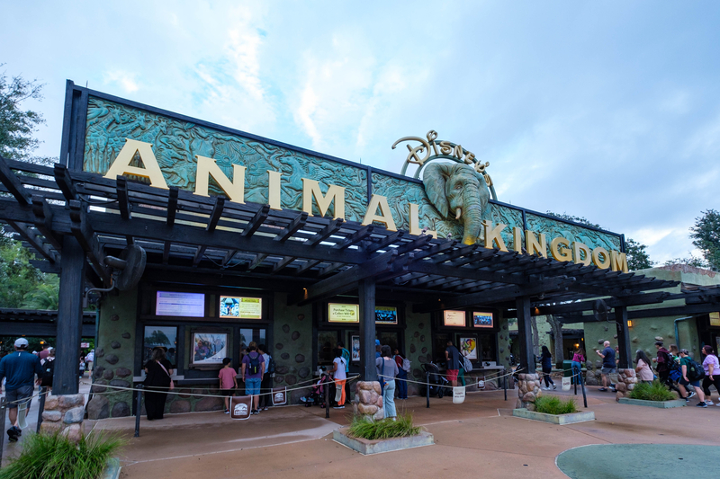 WDW旅行記】4日目アニマルキングダムへ！ - まちどりのほほんロード