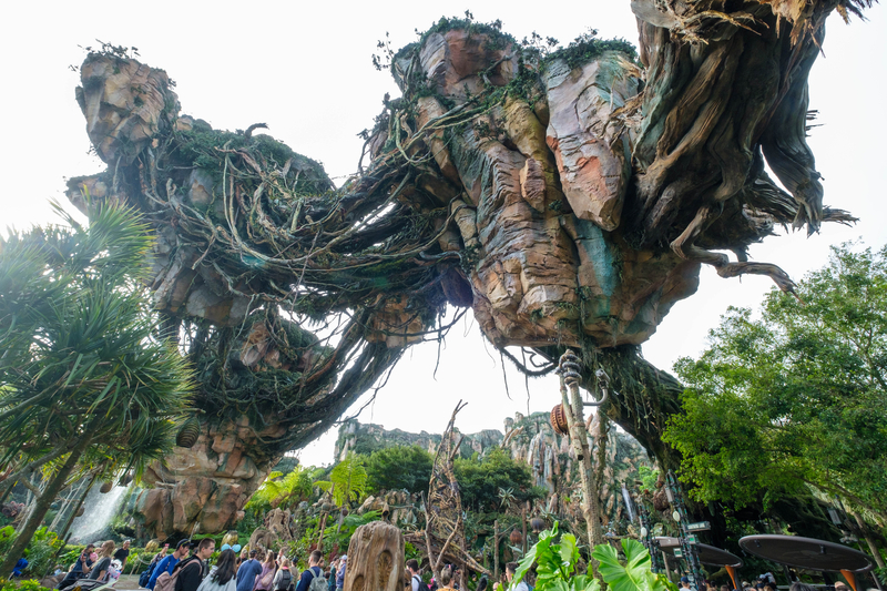WDW旅行記】4日目アニマルキングダムへ！ - まちどりのほほんロード