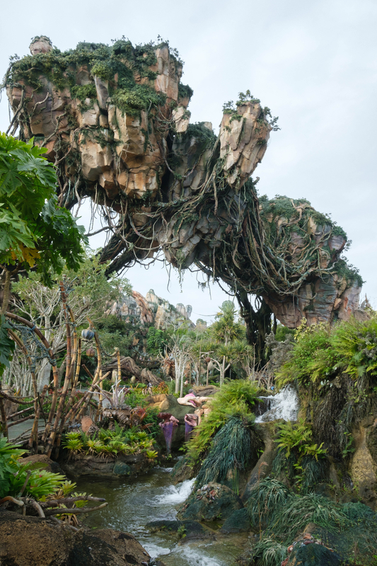 WDW旅行記】4日目アニマルキングダムへ！ - まちどりのほほんロード