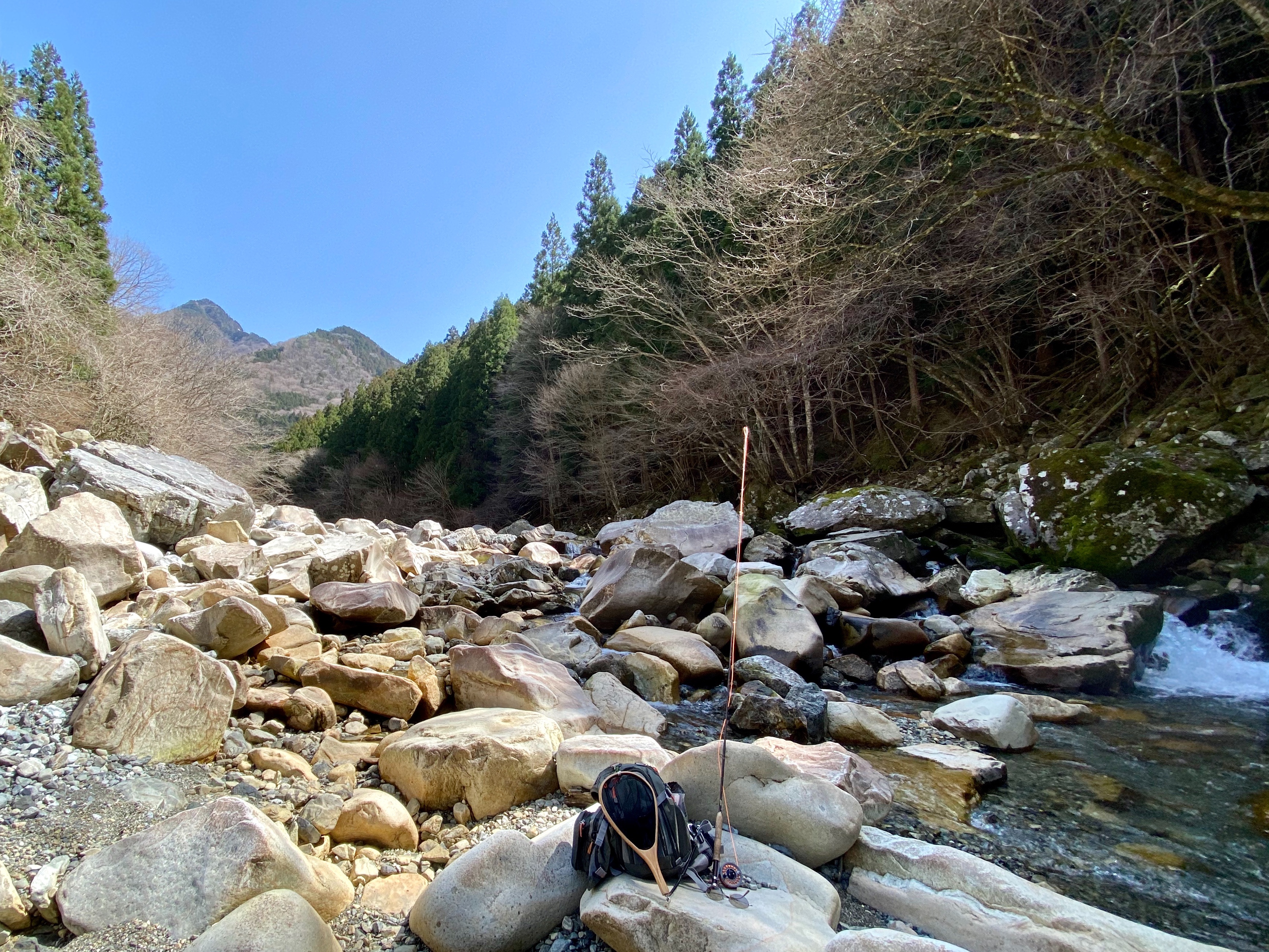 f:id:dendenpu:20200322205202j:image
