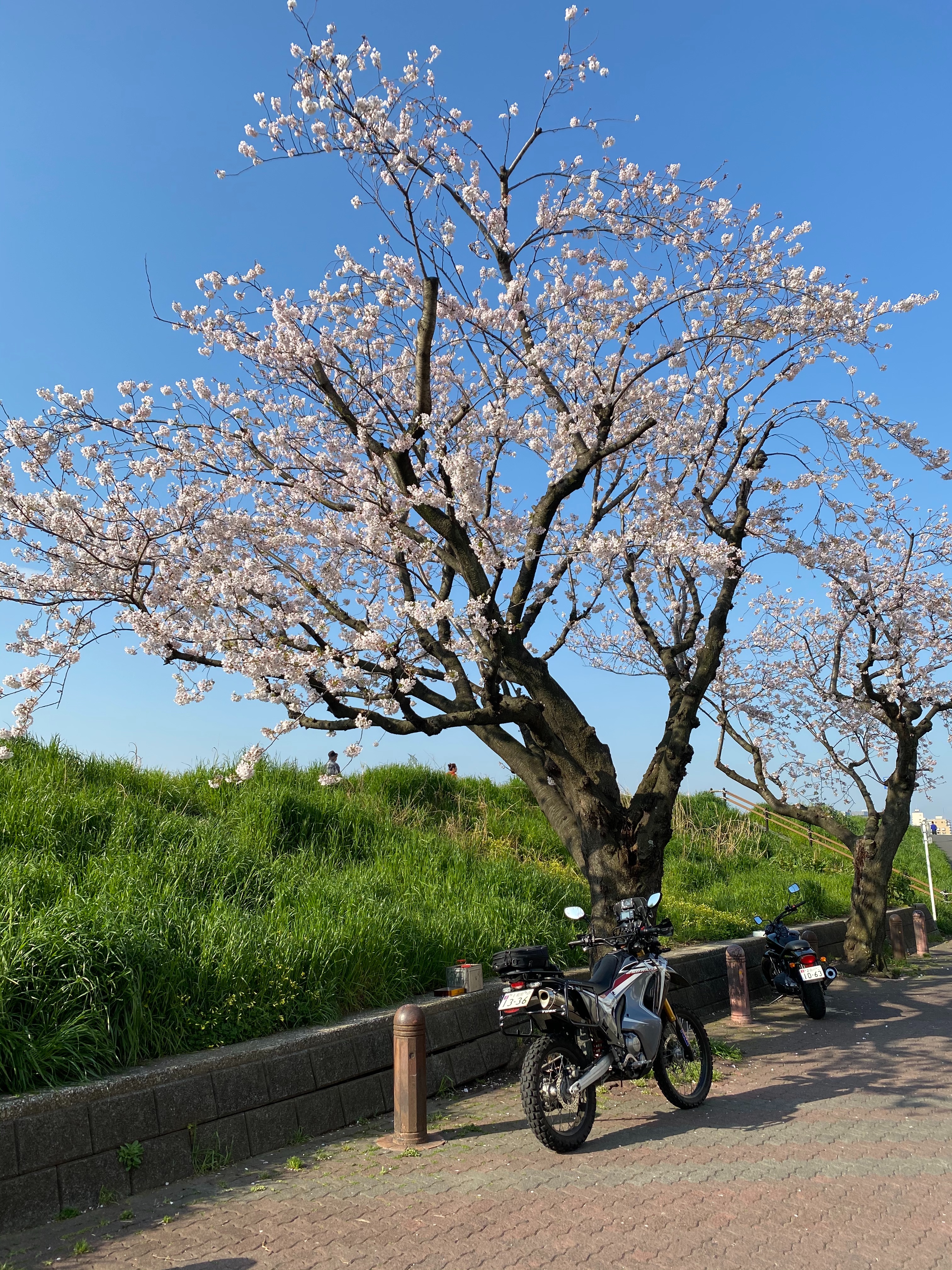 f:id:dendenpu:20201004201421j:image f:id:dendenpu:20201004201421j:image