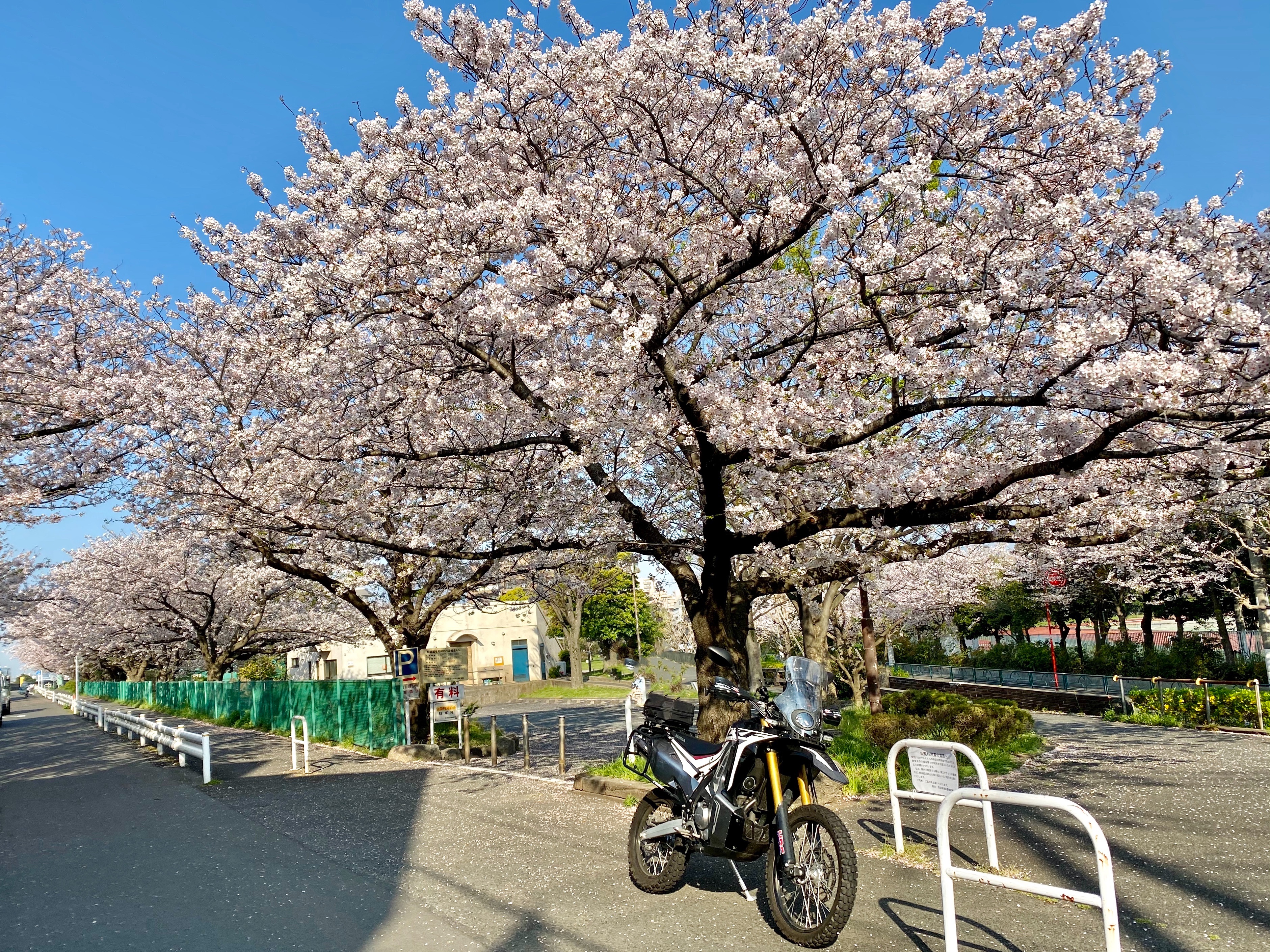 f:id:dendenpu:20201004201456j:image f:id:dendenpu:20201004201456j:image
