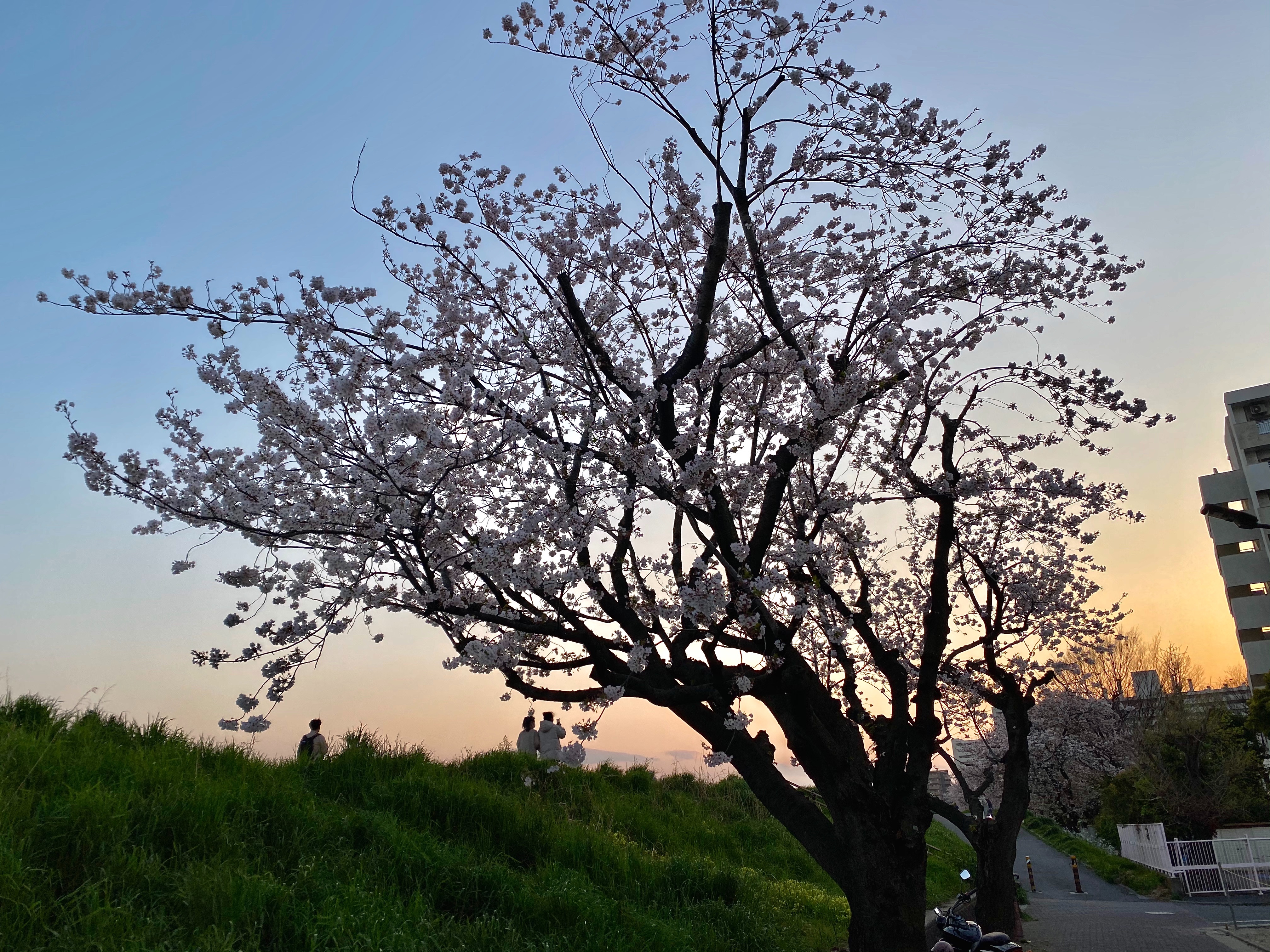 f:id:dendenpu:20201004201509j:image f:id:dendenpu:20201004201509j:image