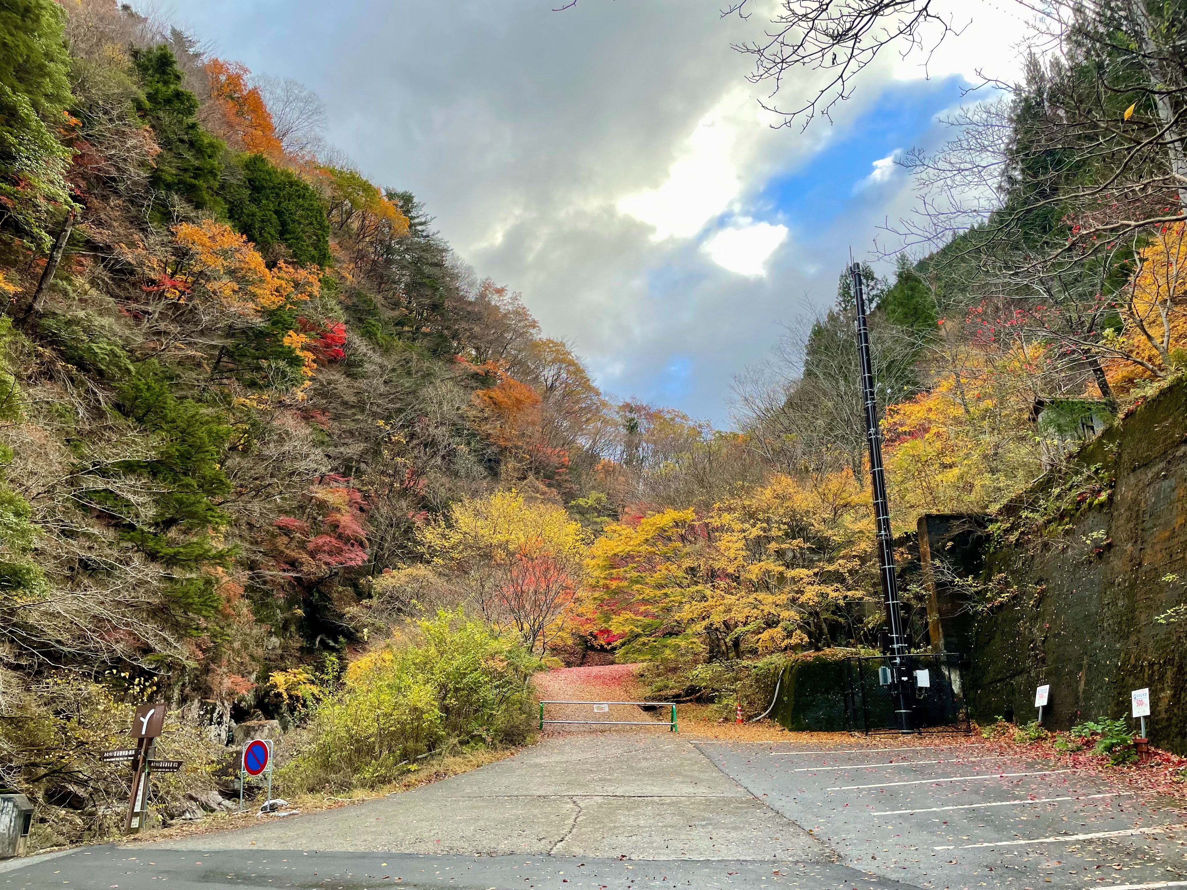 f:id:dendenpu:20221202102139j:image