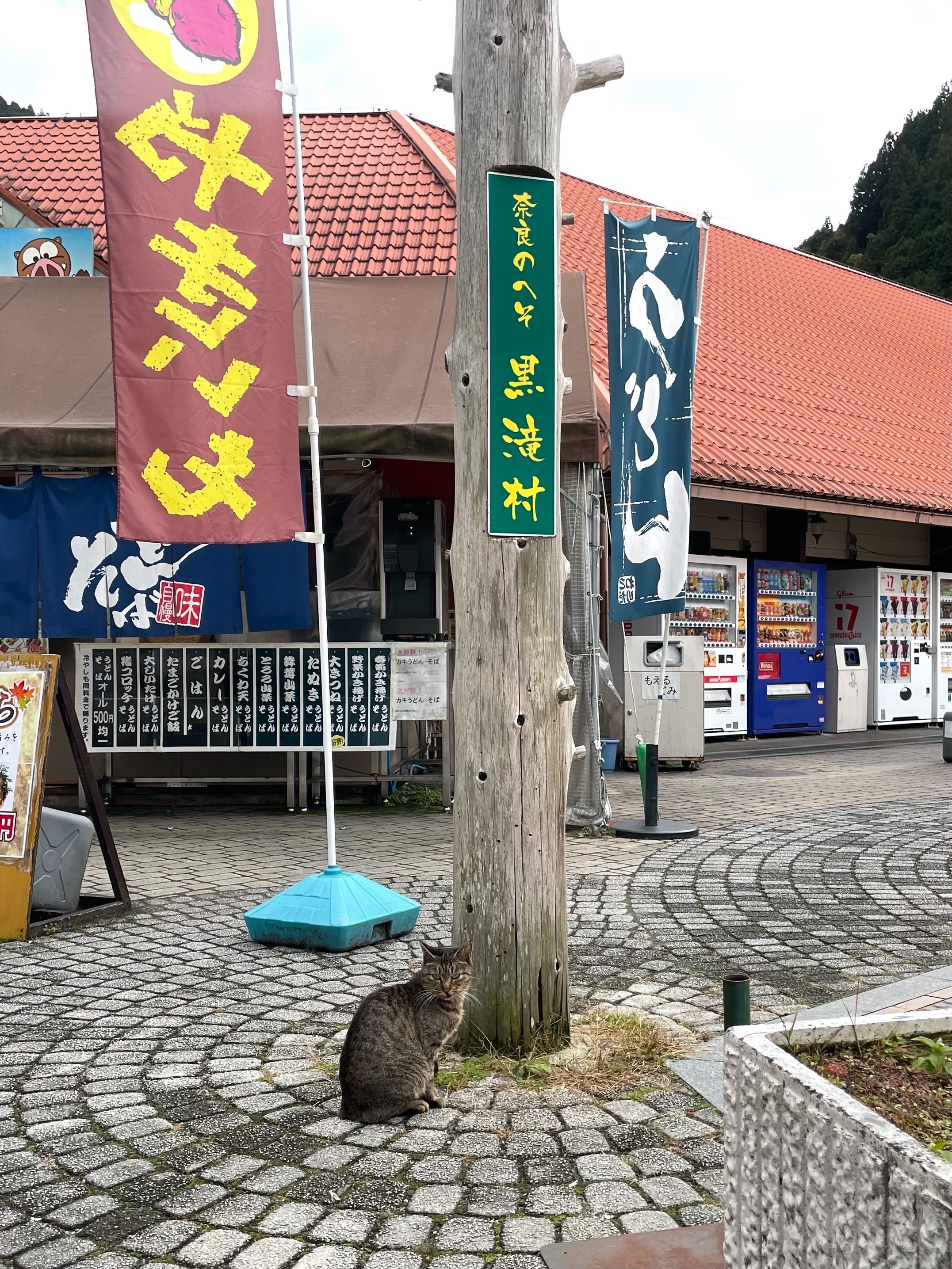 f:id:dendenpu:20221202103136j:image