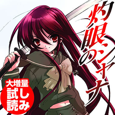 灼眼のシャナ 小説 灼眼のシャナXVI (電撃文庫) (Japanese Edition) by 高橋 弥七郎