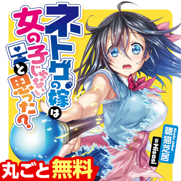 ネトゲの嫁は女の子じゃないと思った？ サムネイル画像