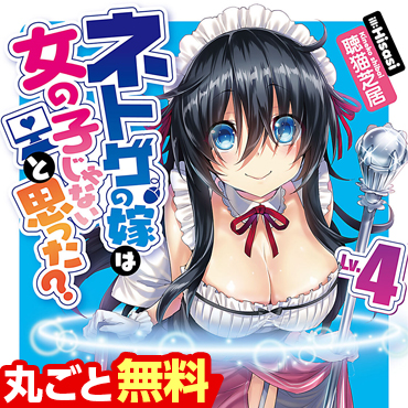  ネトゲの嫁は女の子じゃないと思った？　Ｌｖ．４ サムネイル画像