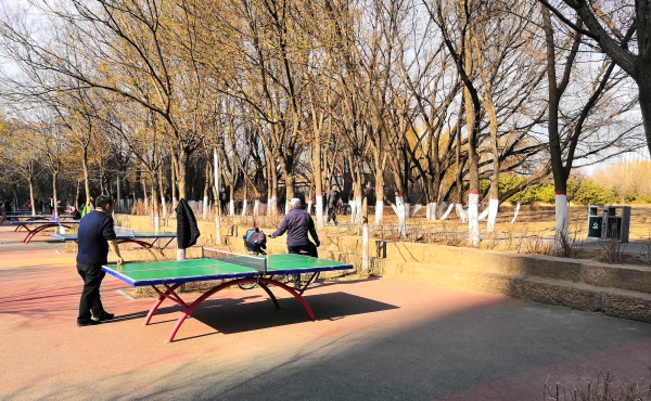 f:id:denim012:20190324214551j:plain f:id:denim012:20190324214551j:plain
