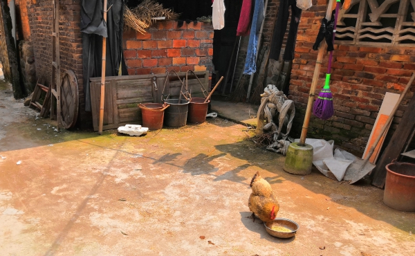 f:id:denim012:20190429155805j:plain