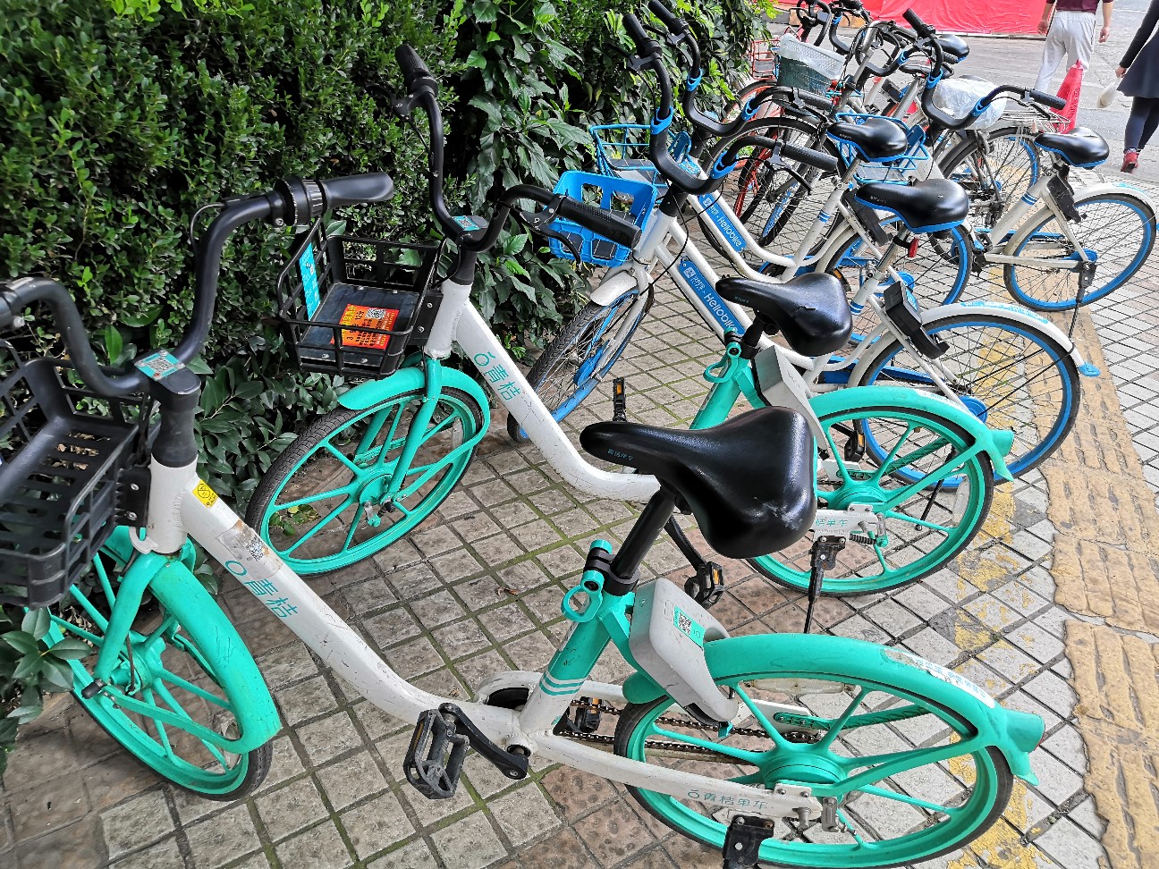 f:id:denim012:20191003071552j:image