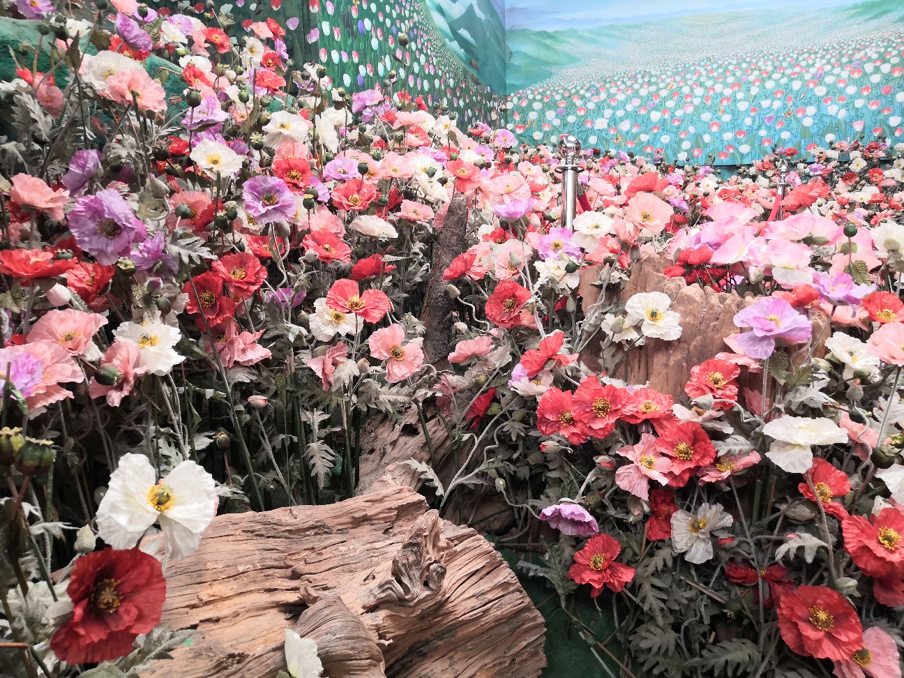 f:id:denim012:20191004203626j:image