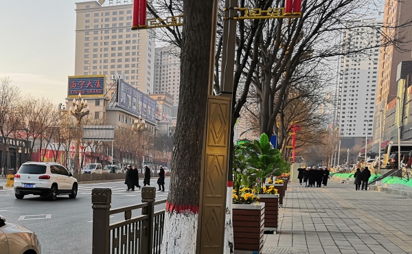 f:id:denim012:20191209140133j:plain f:id:denim012:20191209140133j:plain