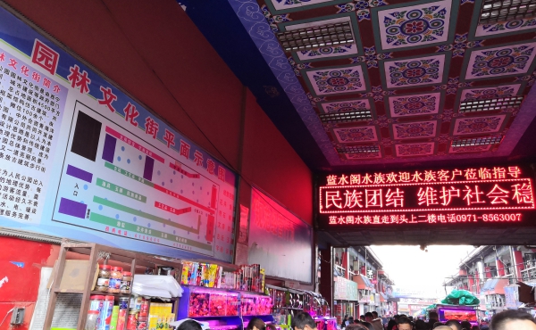 f:id:denim012:20191209141600j:plain f:id:denim012:20191209141600j:plain