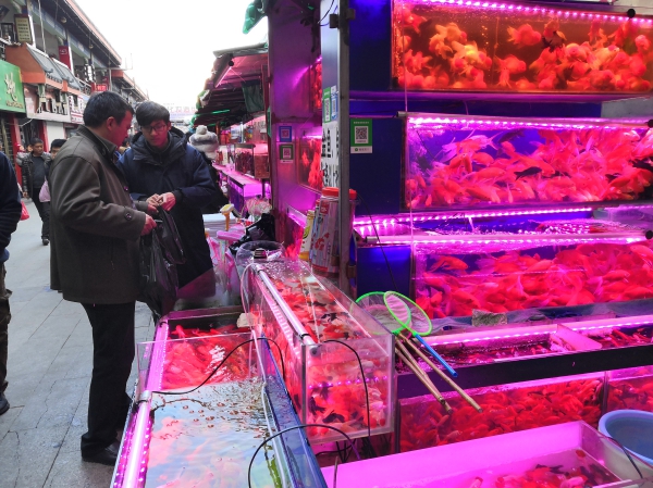 f:id:denim012:20191209141615j:plain f:id:denim012:20191209141615j:plain