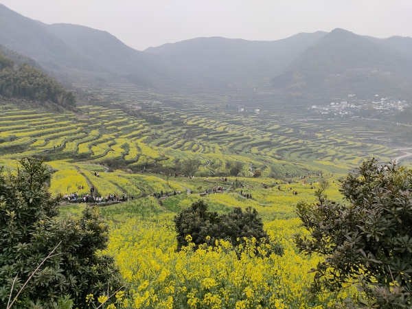 f:id:denim012:20210322093951j:plain