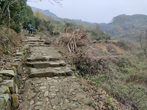 f:id:denim012:20210322093953j:plain