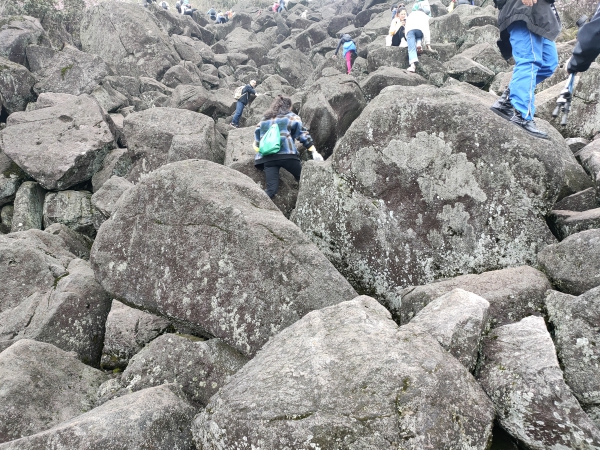 f:id:denim012:20210322093955j:plain