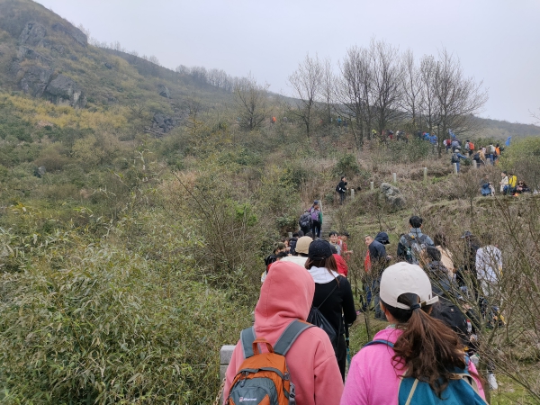 f:id:denim012:20210322093957j:plain