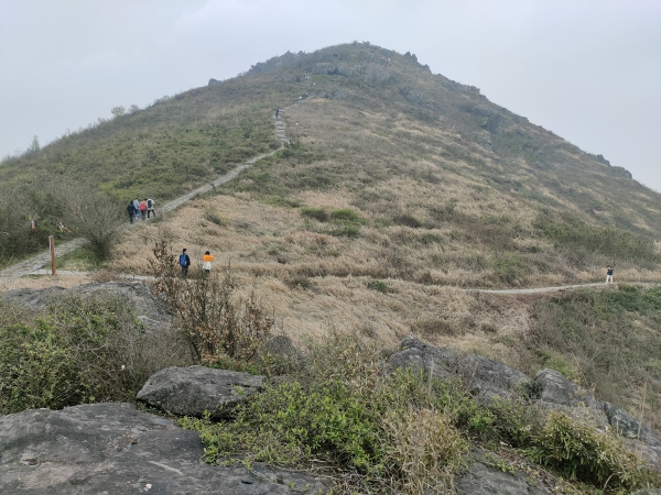 f:id:denim012:20210322094000j:plain