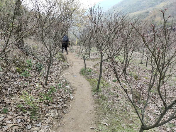 f:id:denim012:20210322094006j:plain