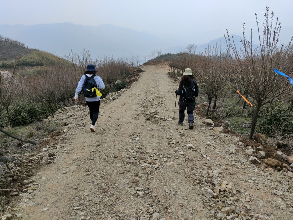 f:id:denim012:20210322094007j:plain